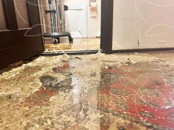 Название фото: Уборка после прорыва канализации и потопа
