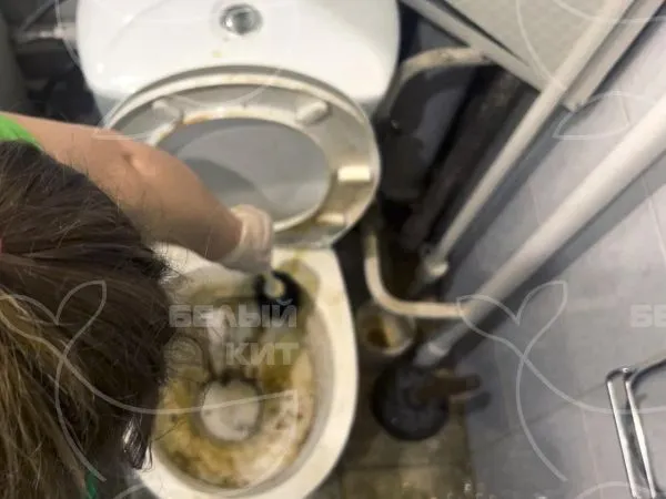 Название фото: Уборка санузлов