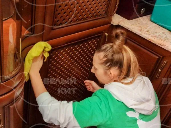 Название фото: Поддерживающая уборка дома