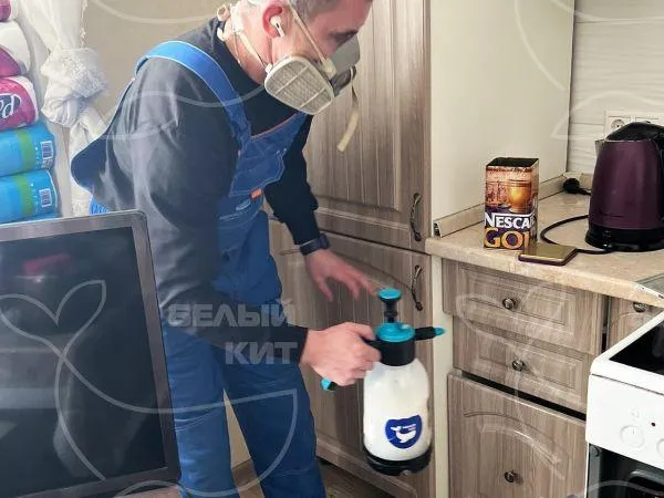 Название фото: Дезинфекция помещений