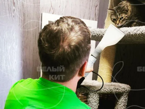 Название фото: Уборка шерсти