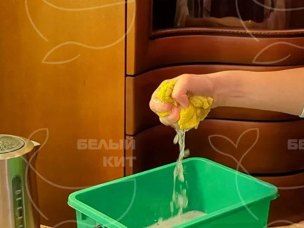 Название фото: Влажная уборка помещения