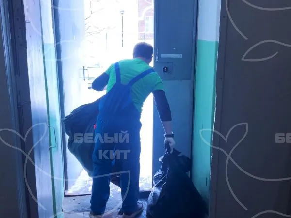 Название фото: Уборка подъездов после ремонта