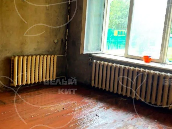Название фото: Уборка запущенных квартир