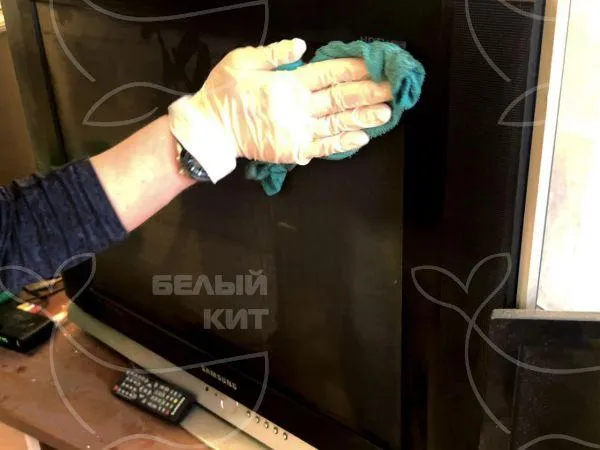 Название фото: Влажная уборка помещения