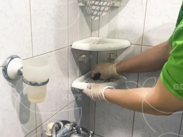 Название фото: Уборка однокомнатной квартиры