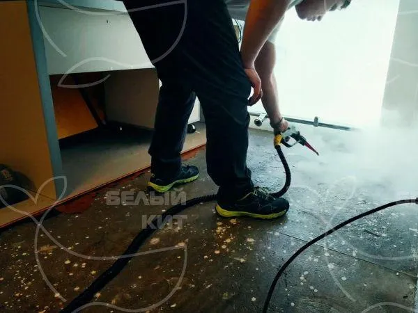Название фото: Дезинфекция помещений